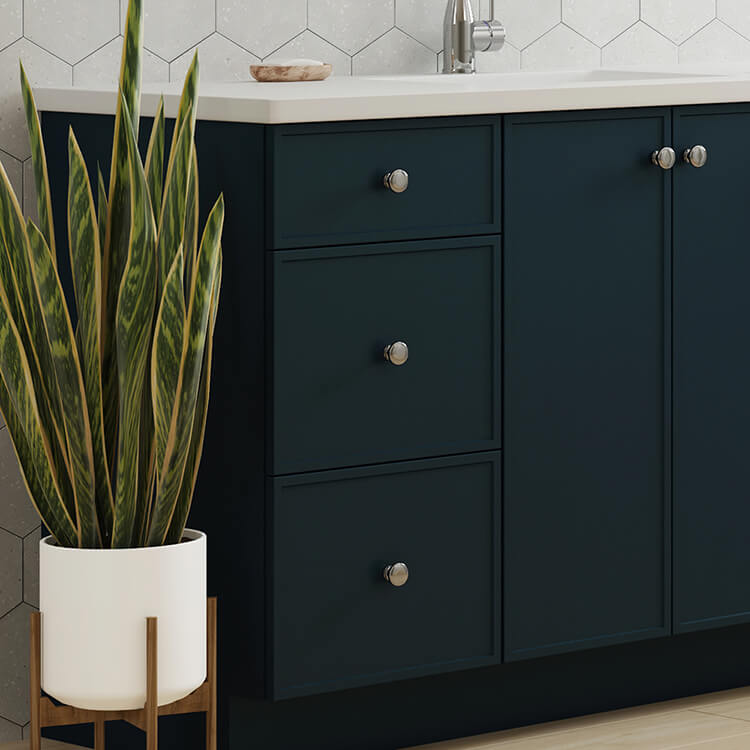 Dark blue vanity with snake plant and stylish tile.